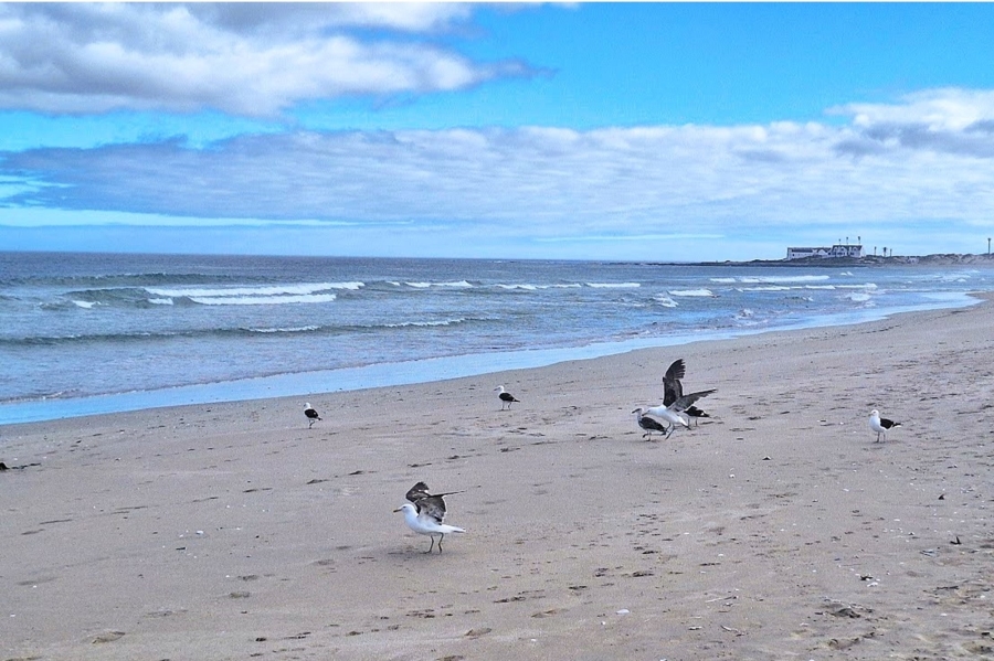 3 Bedroom Property for Sale in Brittania Beach Estate Western Cape